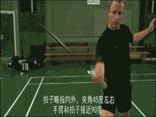 金秋诗画（学羽精华33.发力技巧）