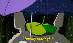 宫崎骏老爷爷笔下经典形象龙猫的原型居然是个鸟,WTF+问号脸