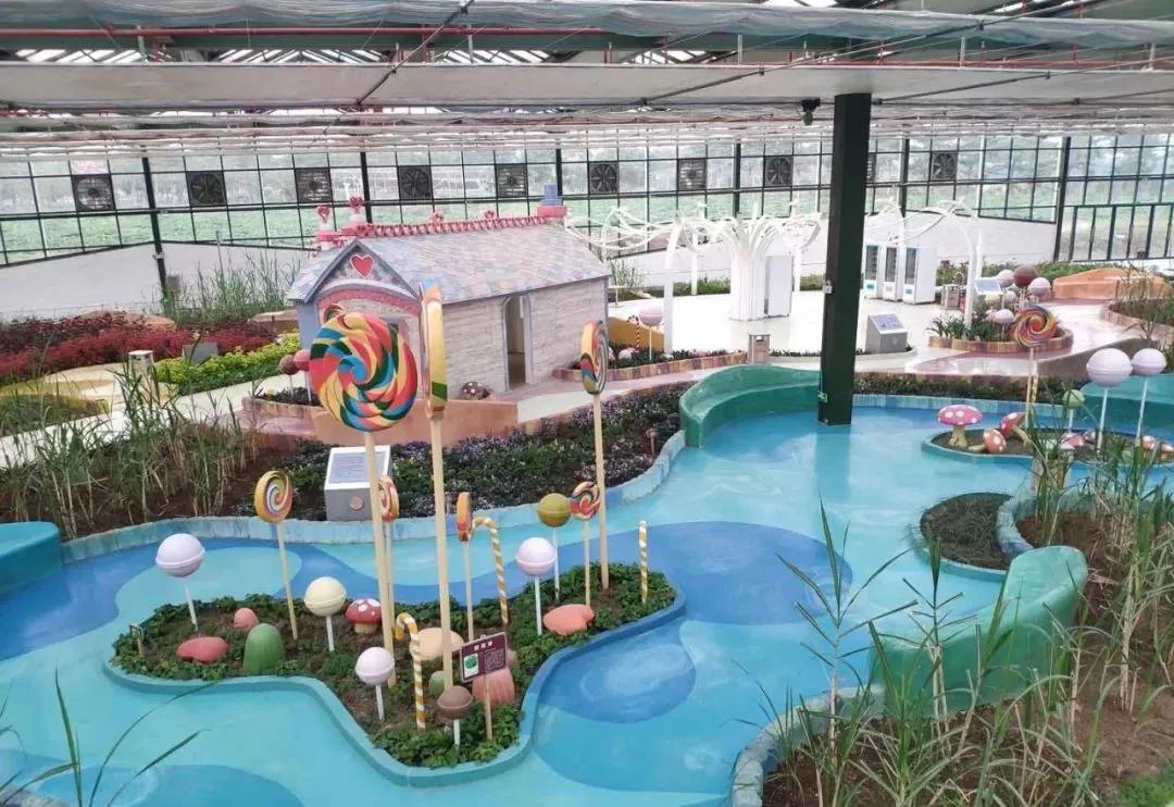 中农富玉大事记,中农富玉未来发展趋势