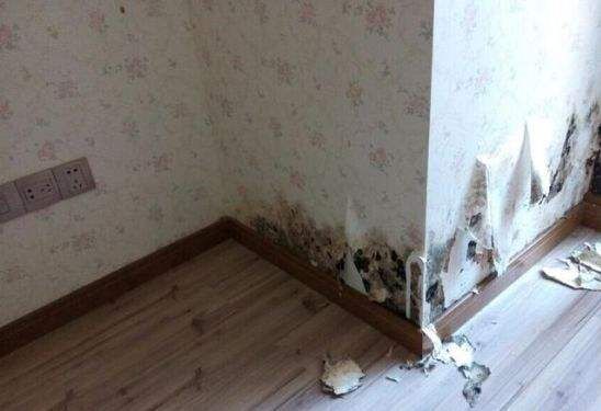 装修5套房的十大血泪教训,装修五套房血泪教训