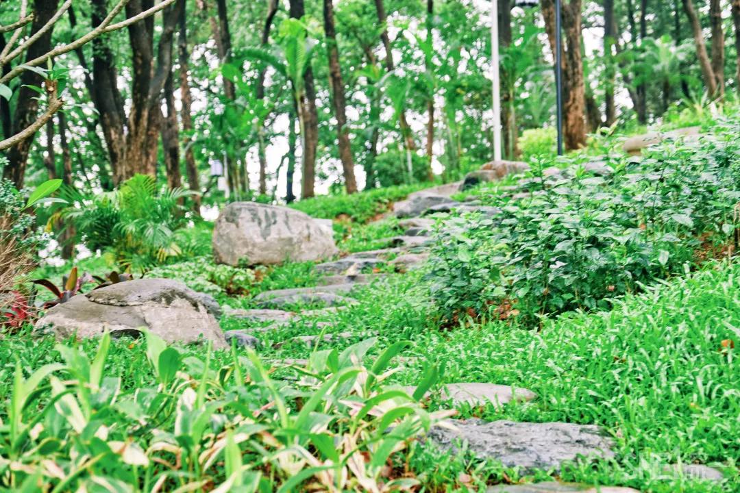 深圳八大绝美公园,山水公园深圳