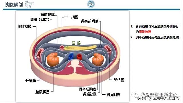 核磁ct都显示急性胰腺炎,急性坏死性胰腺炎的ct表现