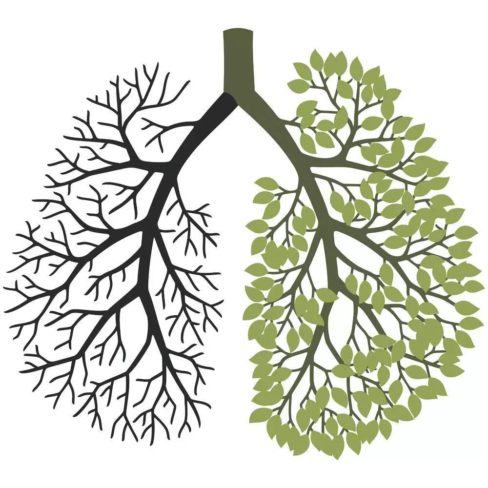 特发性肺纤维化，一种炎症因子导致的疾病，目前有两种药可治疗