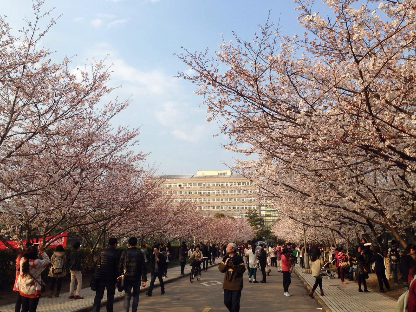 985高校之上海同济大学-国内土木最强学校