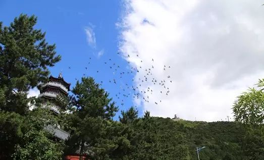 您应该去过密云？但您知道这个地方才是密云的标志和象征吗？