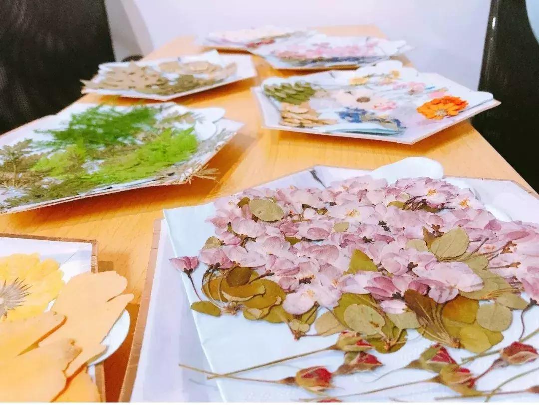 情人节收到的花别扔,情人节花别丢