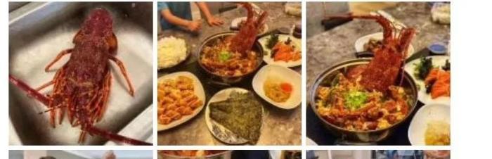 龙虾不吃东西,龙虾没人吃