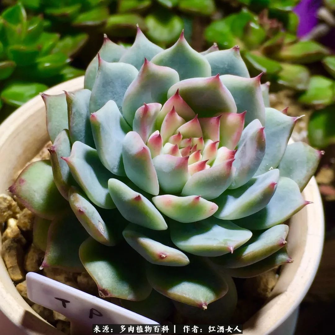 记录走过的美景留下美好的回忆,记录走过的每一段美好时光