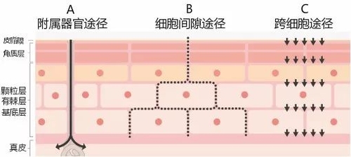 只听说水逆护肤界偏偏还玩“乳逆”