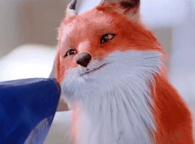 枕上书凤九凡间跳崖片段,枕上书凤九跳崖时说的话