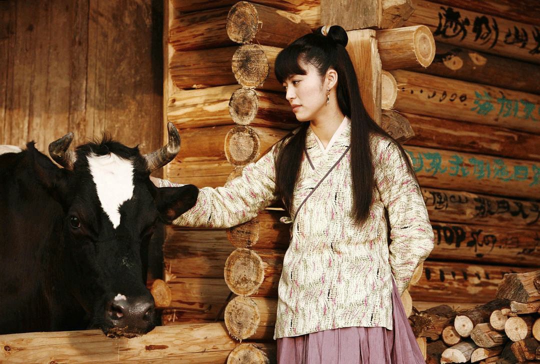 武林外传的八大秘密,武林外传12年后的现状