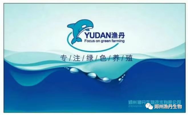 海参腐皮综合症症状及防治技术