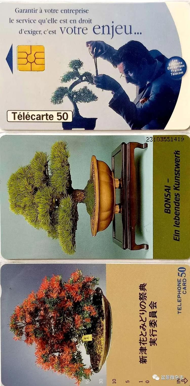 鐩嗘櫙鑱旂郴鐢佃瘽鍙风爜,涓鐩嗘櫙鑱旂郴鏂瑰紡