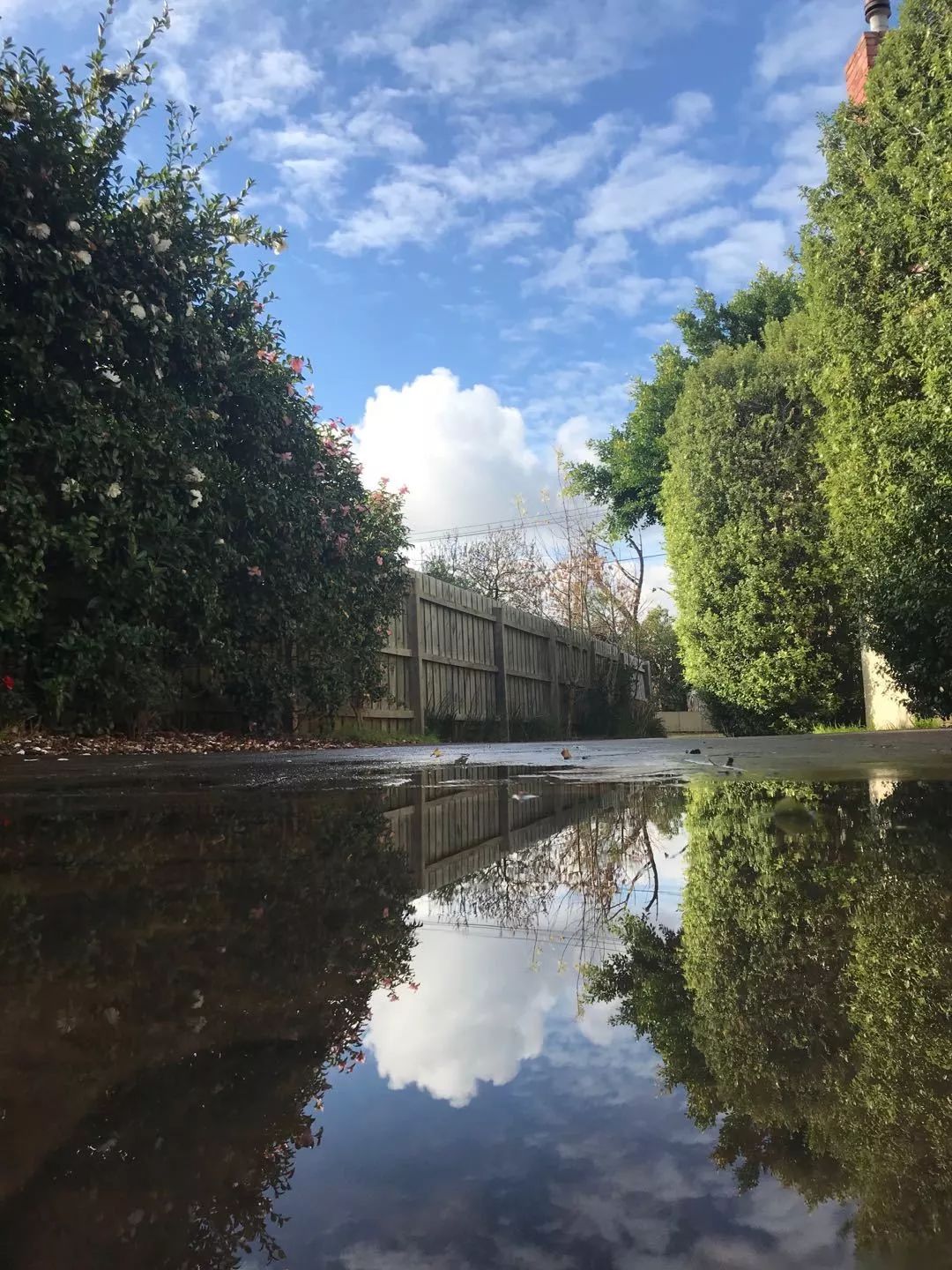 墨尔本租房带家具,墨尔本买房租房攻略