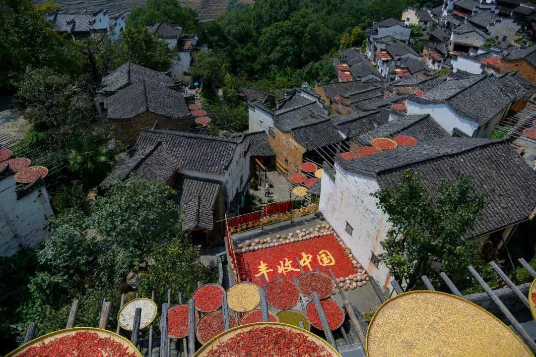 篁岭晒秋盛典,第八届篁岭晒秋文化节