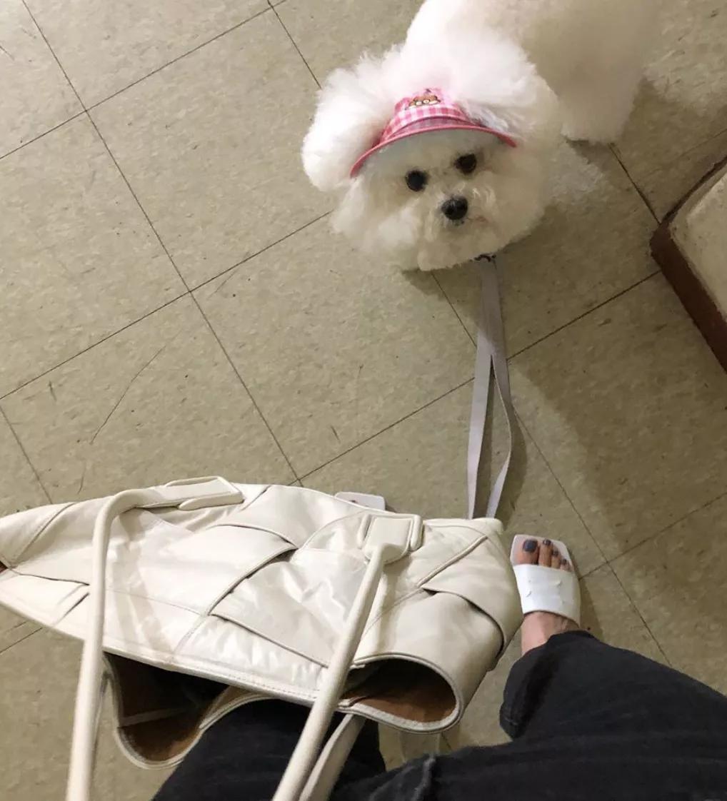 38岁独居全职博主,韩国独居博主