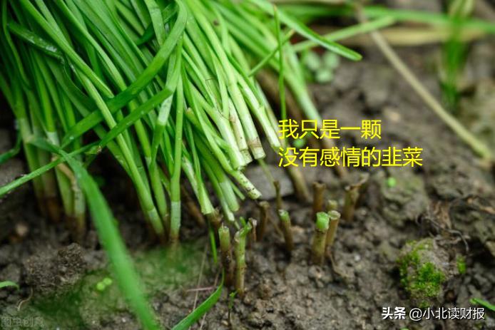 三种相对估值方法,千呼万唤始出来阵容