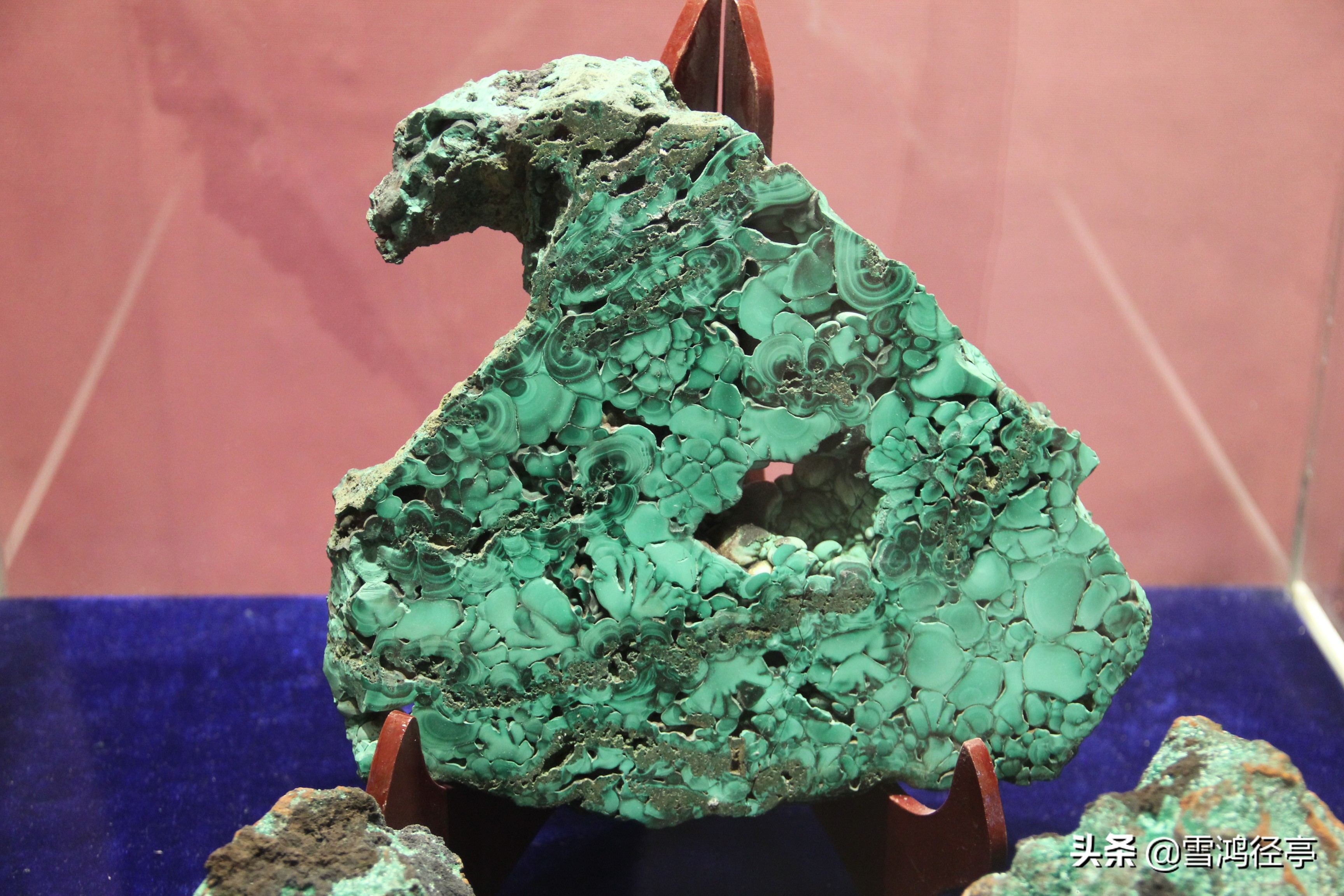 112首诗词中,这些词语您家孩子理解对了吗?(三)