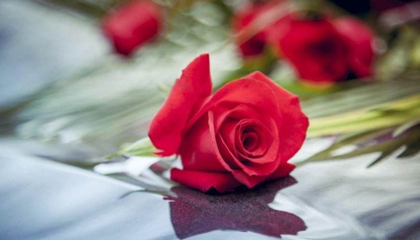 醉过方知酒浓爱过才知情重美文,醉过方知酒浓爱过方知情重感悟