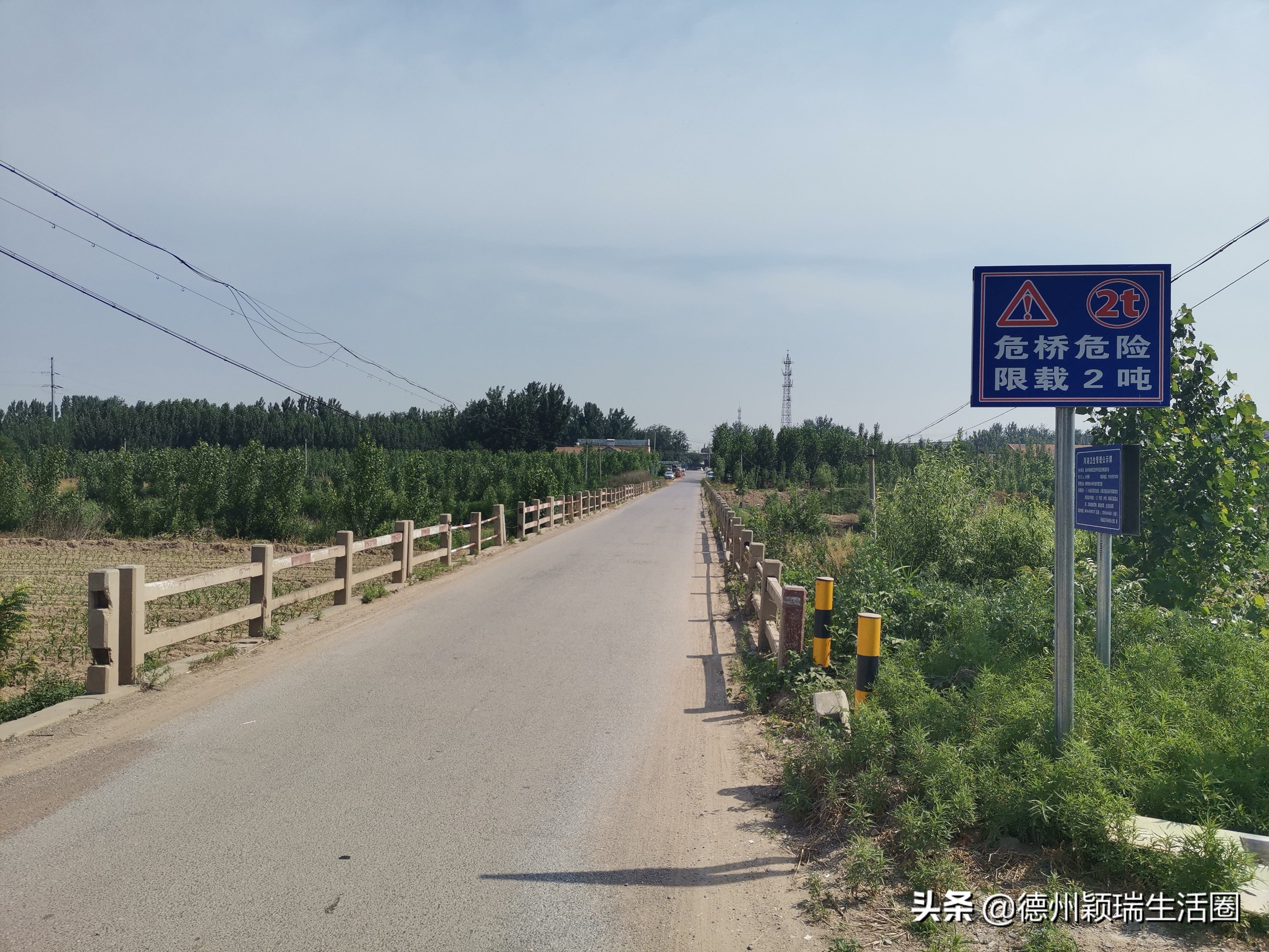 陵城土工布和地毯,陵城土地拍卖