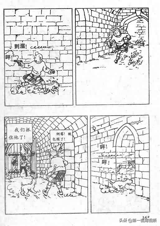 丁丁历险记刚果完整版,丁丁历险记西藏