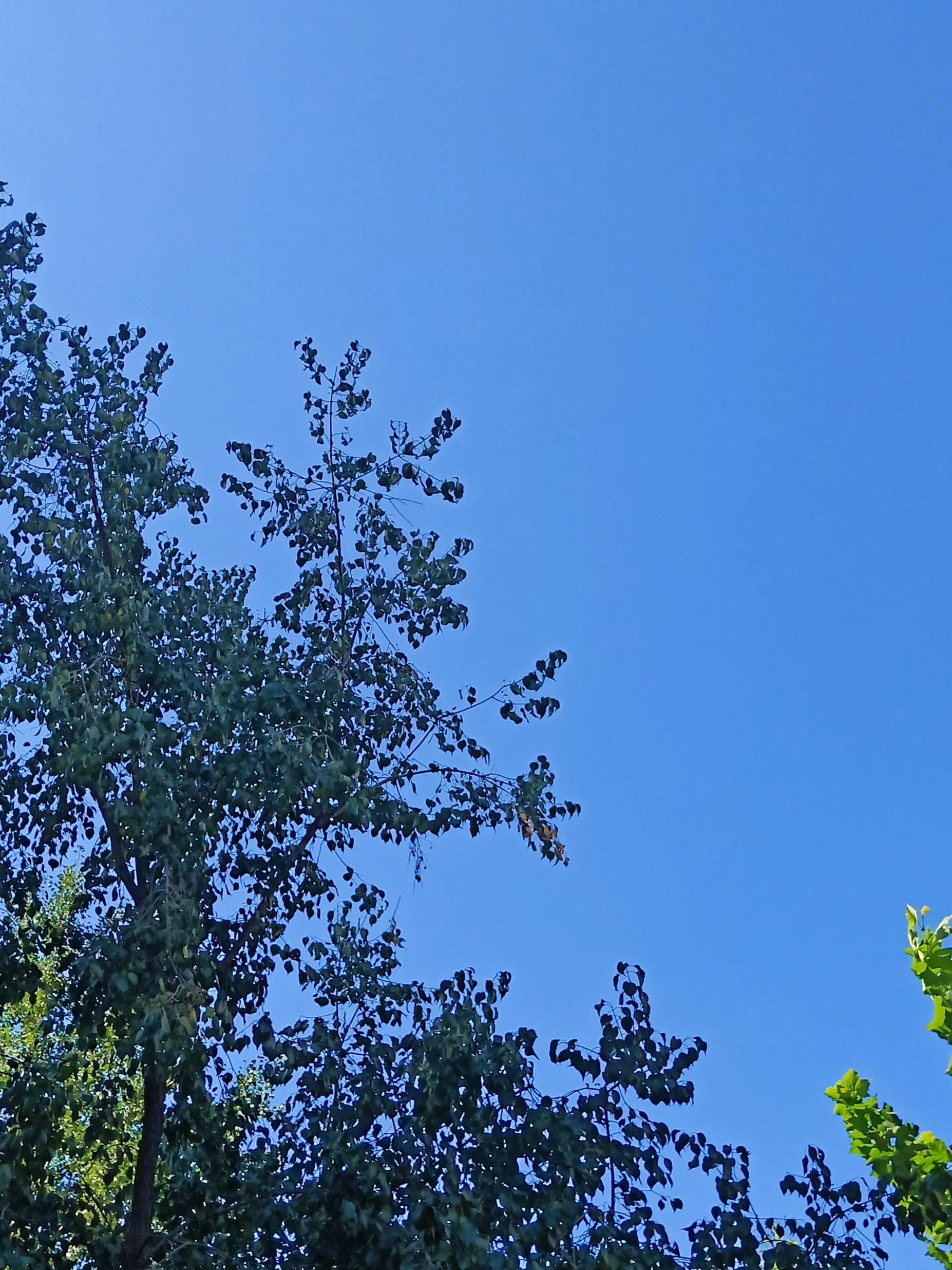 咏酒古诗60首,咏酒古诗词100首