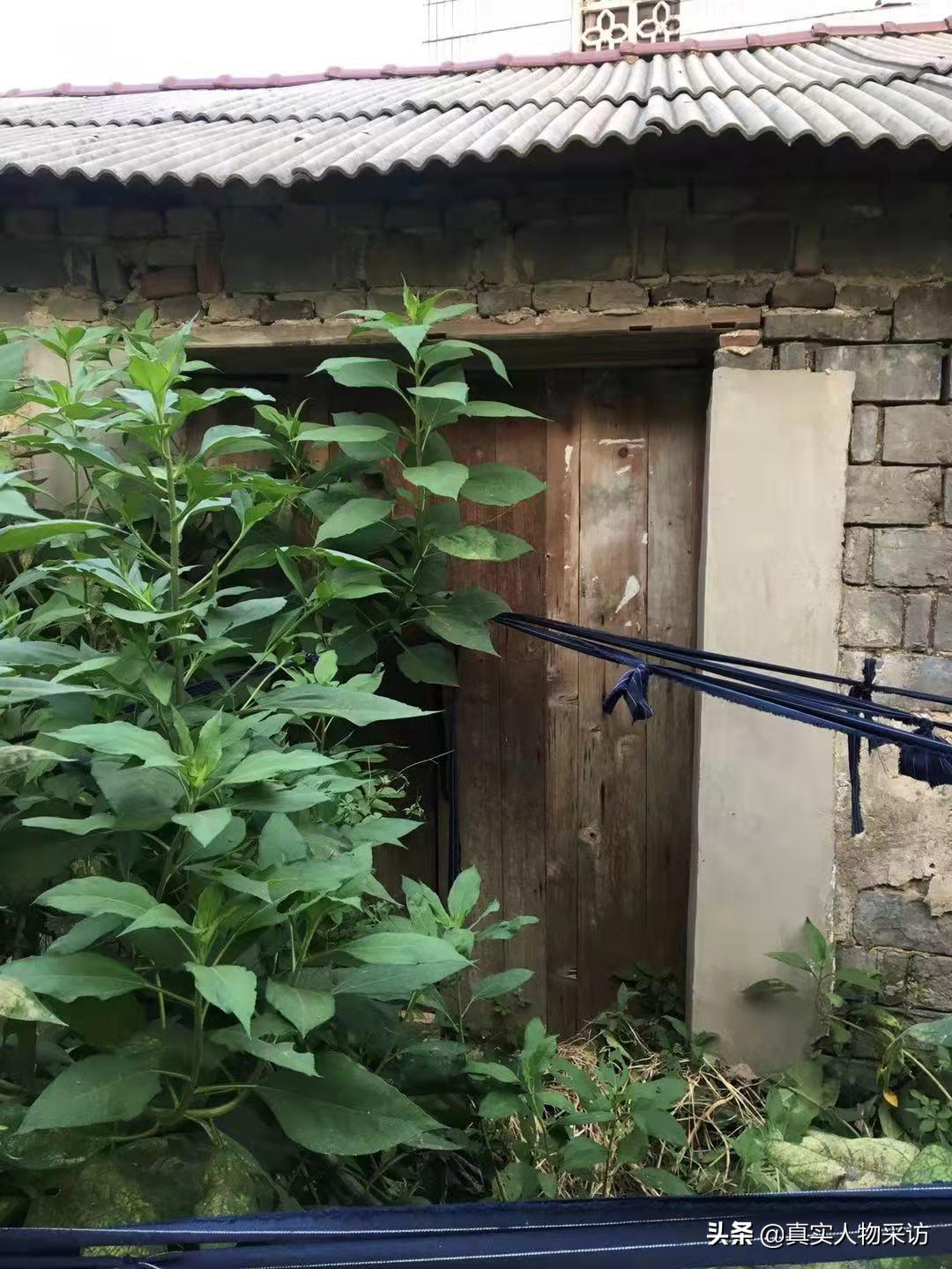 54岁老汉25年前捡一女弃婴故事,一对夫妇捡到一个女弃婴