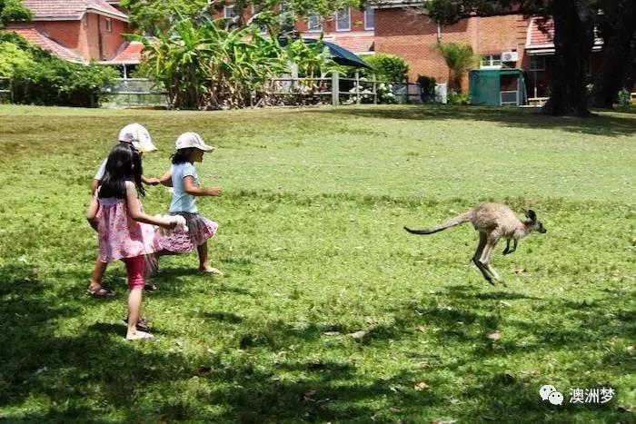 我在澳洲的苦日子,我在澳洲生活的真实感受