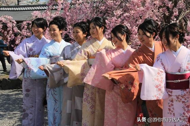 待到山花烂漫时完整版,待到樱花烂漫时的视频