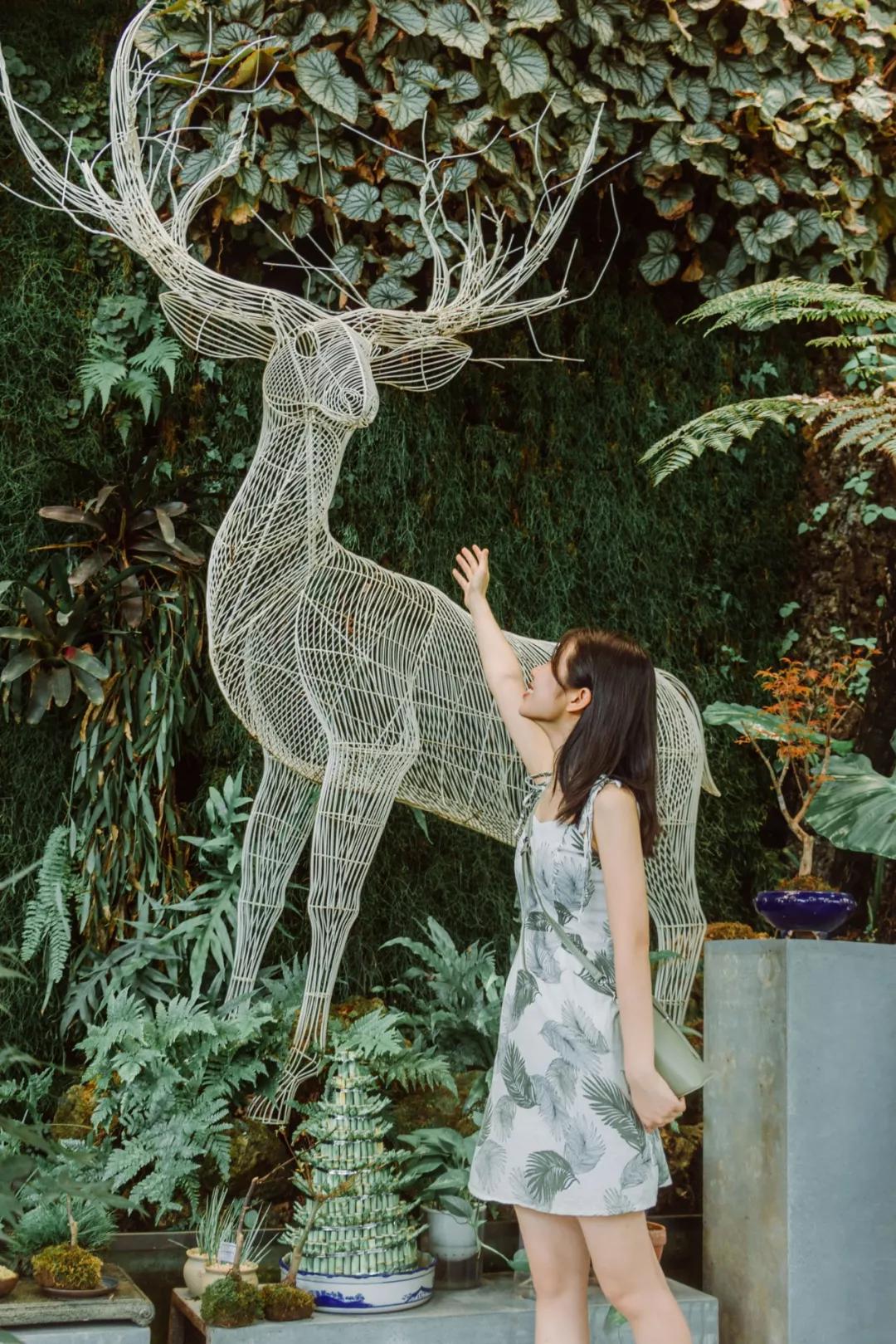 重庆轨道3号线,贵阳地铁3号线