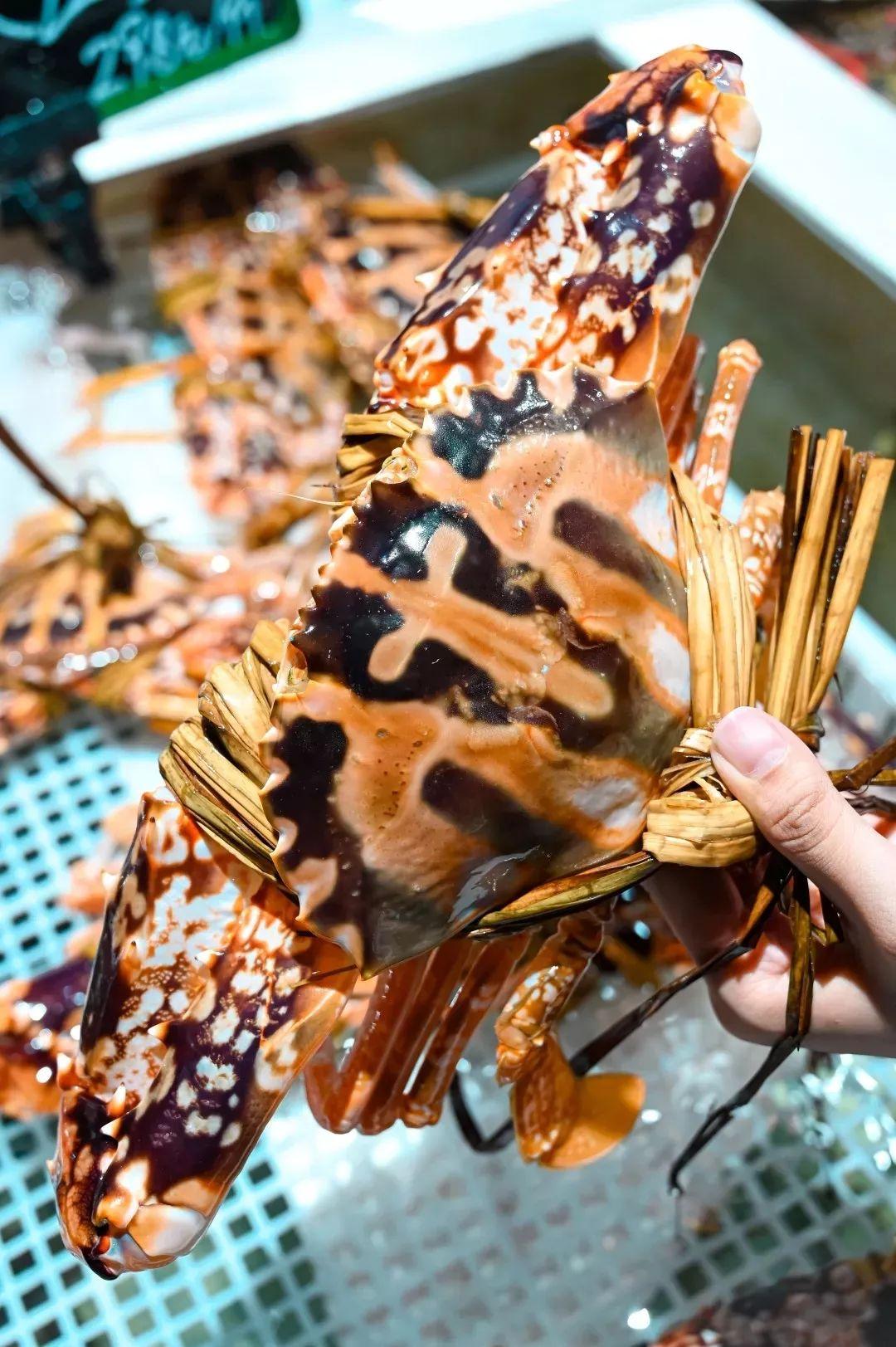 4000m²「平价海鲜」，还藏了个老广早茶，鸡煲、羊肉、虾蟹