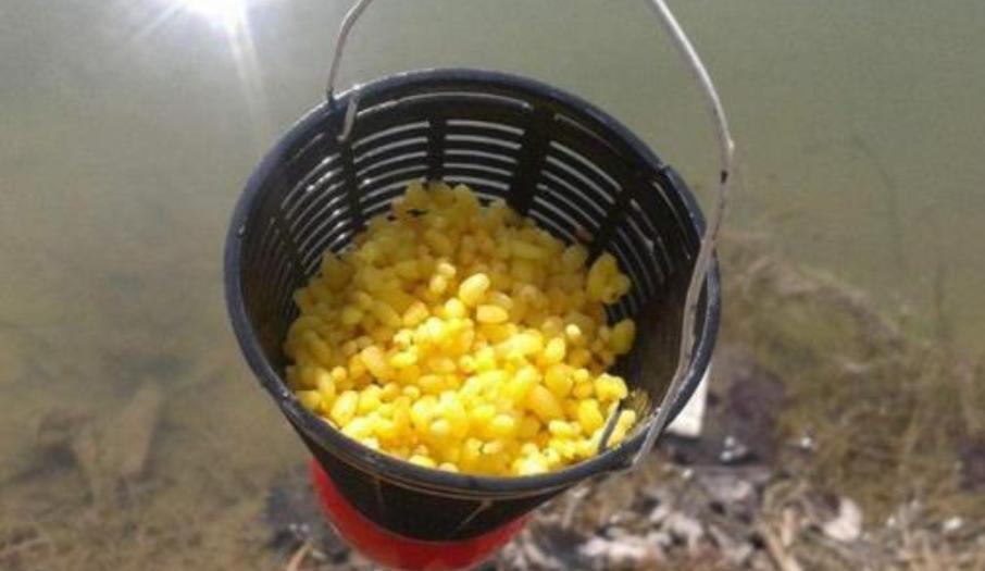 自制酒米窝料及饵料,酒米饵窝料怎么制作