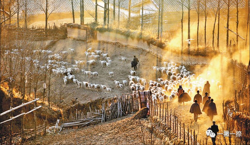 人民日报40年老照片全部,人民日报高质量短片