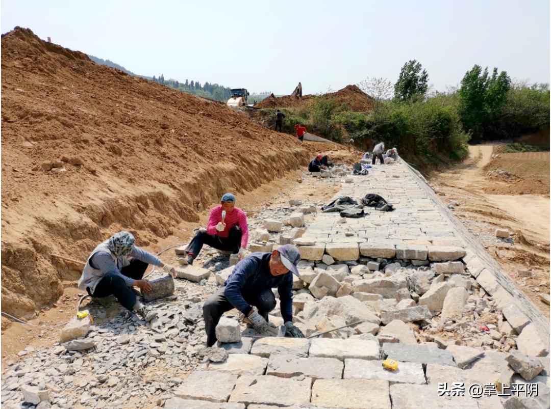 平阴新闻|昨日玫瑰花目标价格检测公示;金融政策送上门助力创业妇女复工复产;水利设施除险加固惠民生