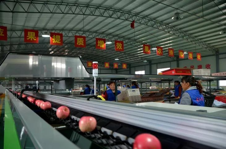 走进13万守陵儿女的幸福生活——延安市黄陵县经济社会发展纪实