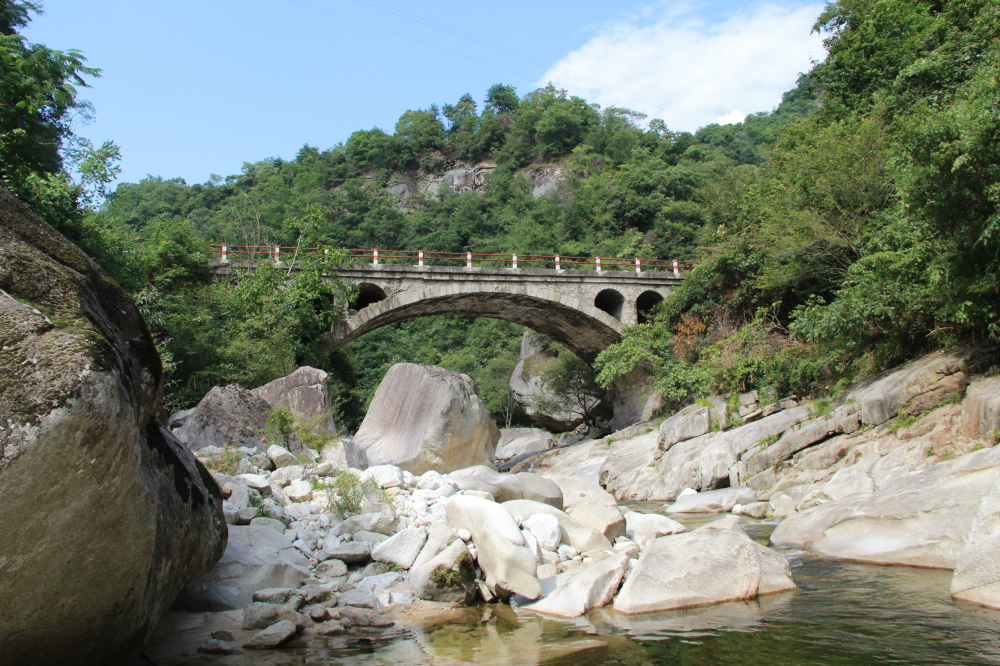 野蜂的口粮极为珍稀,一年等一次,再危险我们也要去“盗”一些!