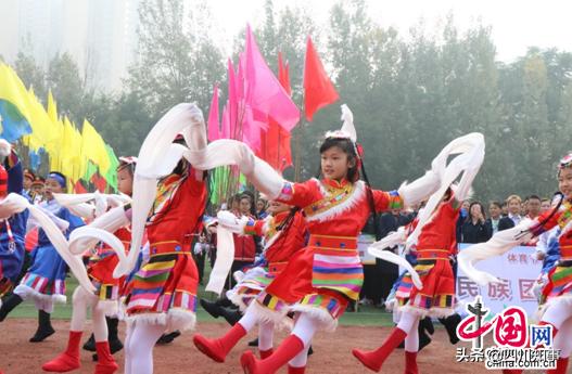 北大附属实验学校体育节,北大成都附属实验学校艺术节