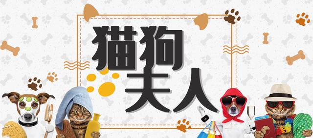 犬恶性黑色素瘤,狗黑色素瘤良性恶性区分