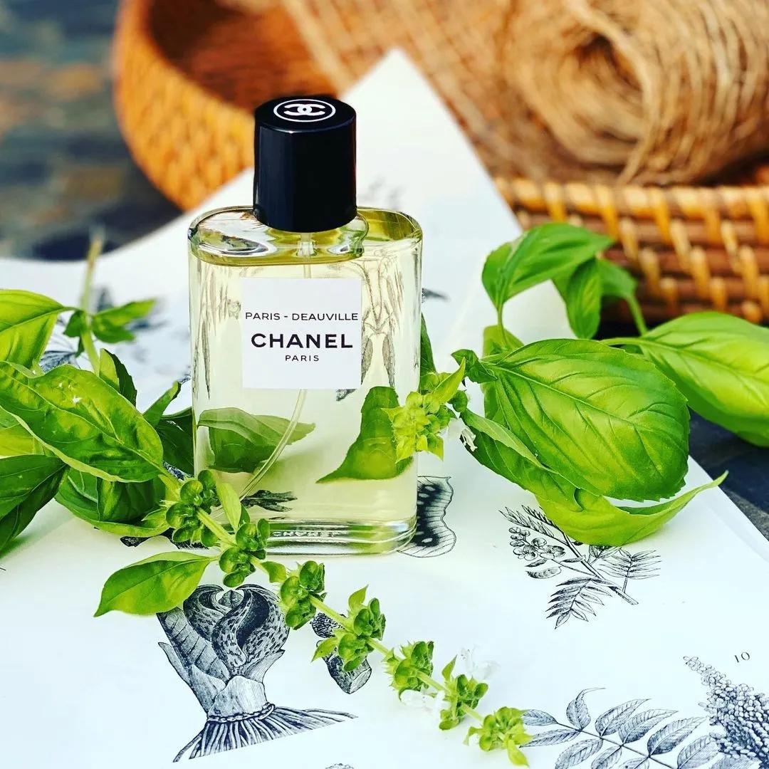 2021濂充汉蹇呬拱鐨勭粡鍏搁姘存湁鍝簺,鍗佸ぇ蹇呬拱濂冲+棣欐按閫傚悎25宀佺殑浜虹敤