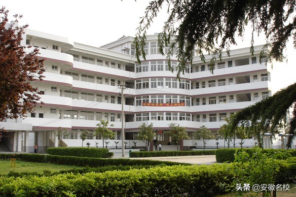 合肥庐阳区三十六中学,合肥最厉害的几所中学