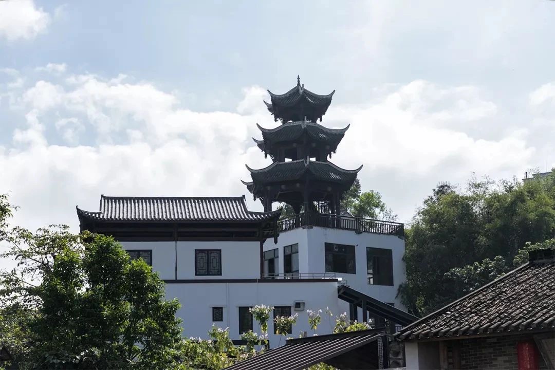 去深圳免费游玩的10个地方,深圳免费游玩景点推荐