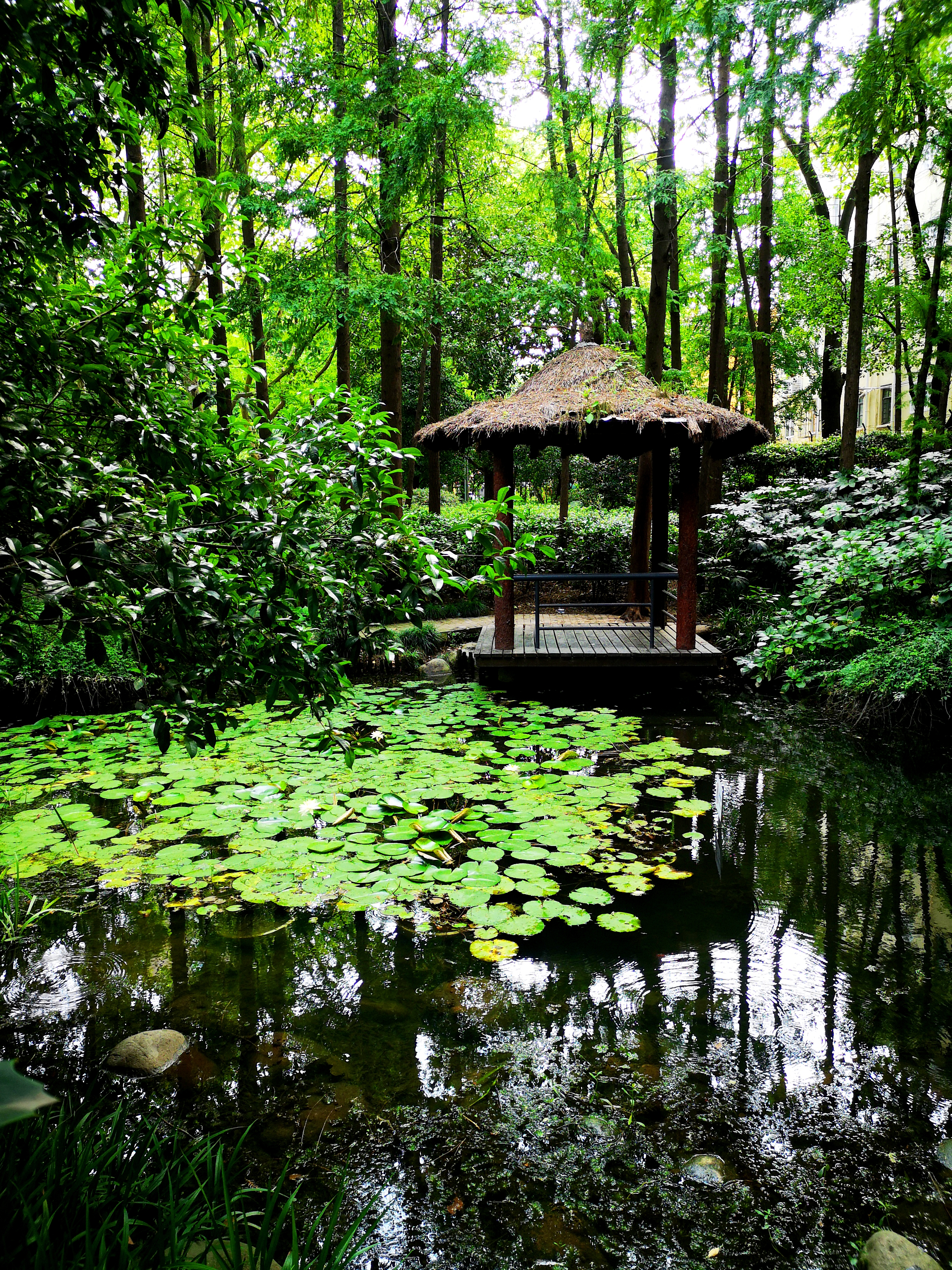 上海陆家嘴有哪些富人,上海陆家嘴低调富豪