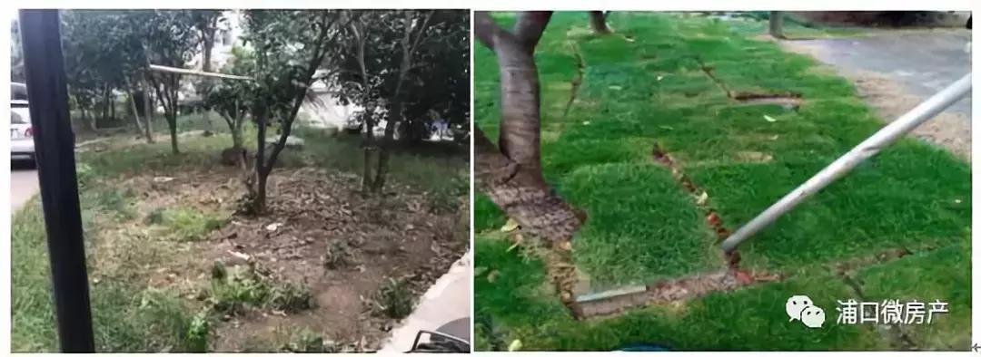 引进物业公司的收益,引入物业