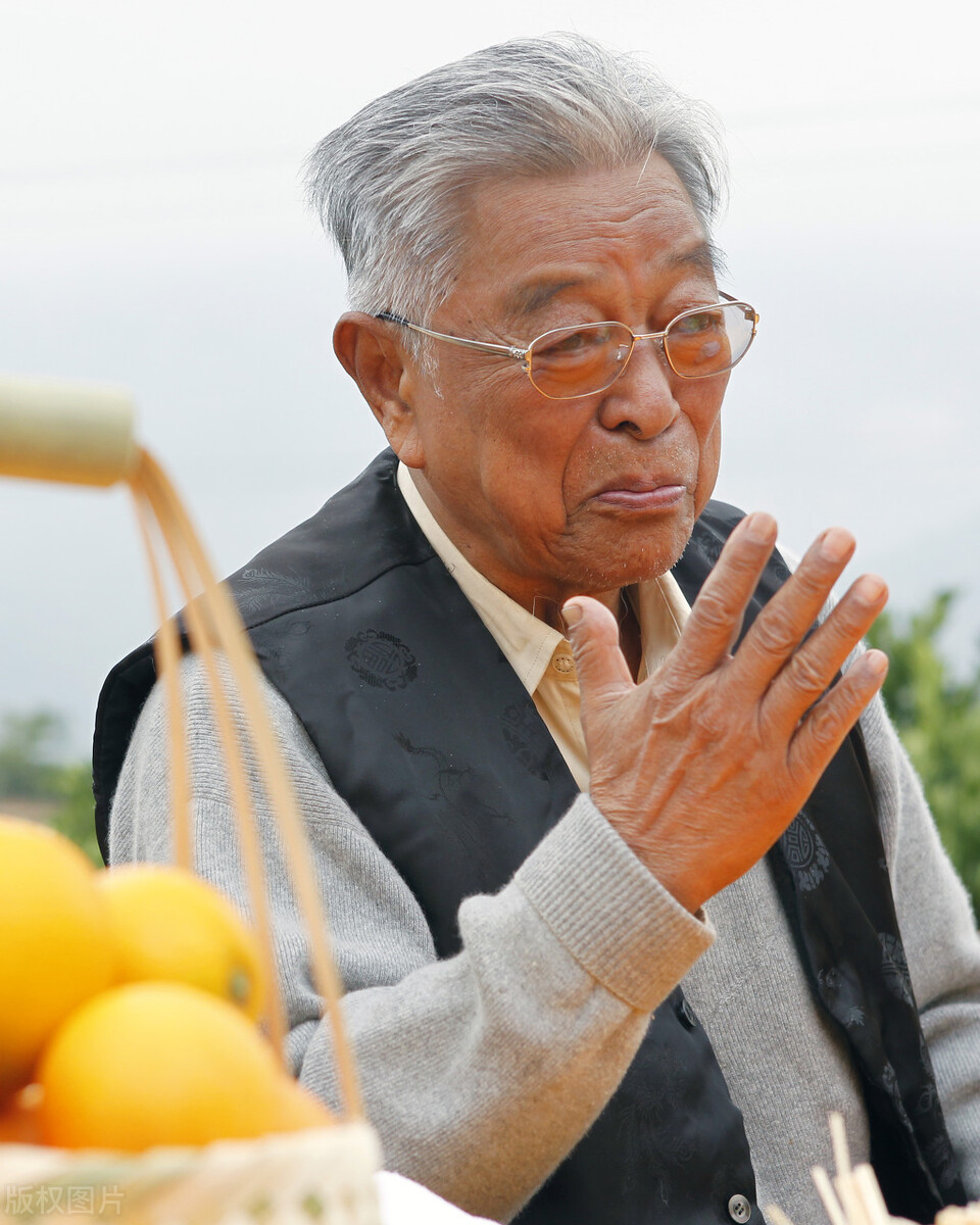 褚橙创始人褚时健在褚橙果园,褚橙集团现状