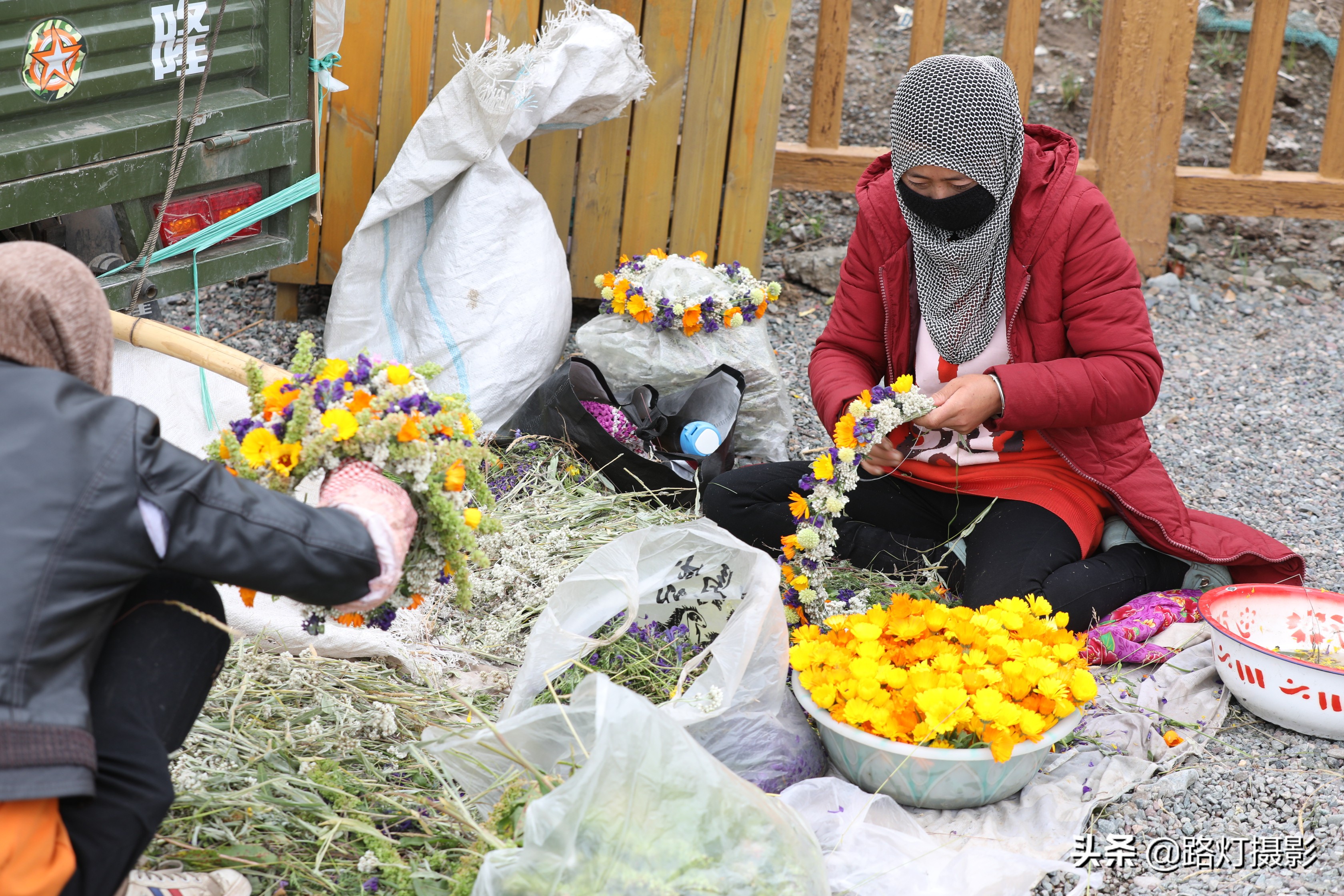 草原美丽的花海风景视频,青海花海旅游景区