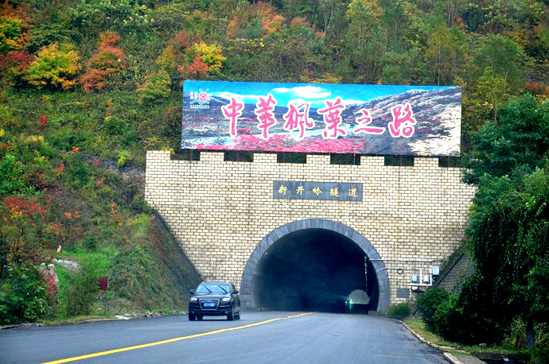 东北杀年猪来吃猪肉,老东北杀年猪