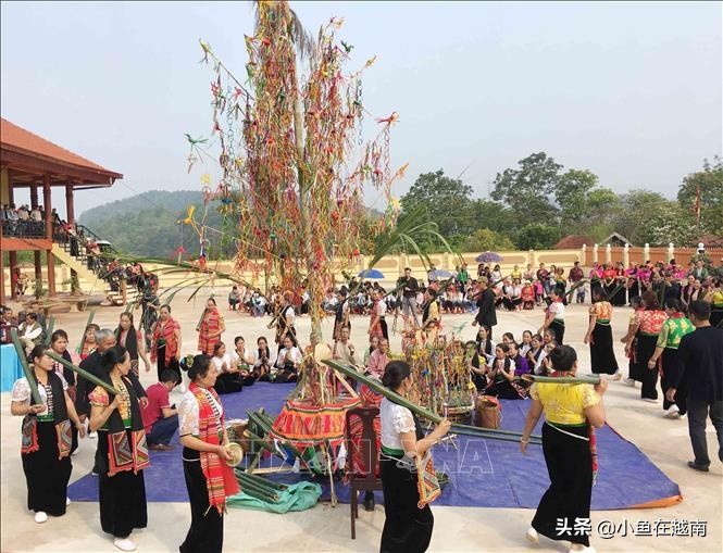 《走进越南》060期:越南山萝省,特产水果销往全球多个高端市场