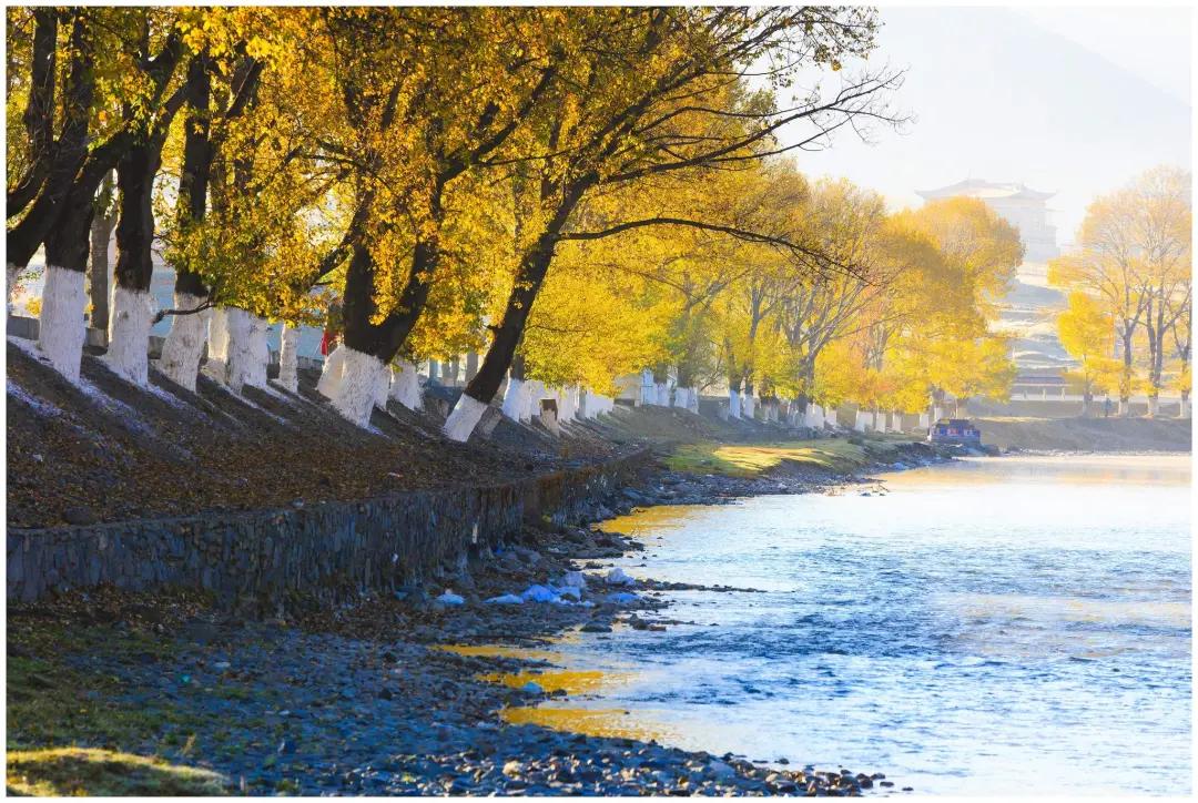 徐志摩最美十首诗有声阅读,徐志摩最美的10首诗歌浪漫唯美