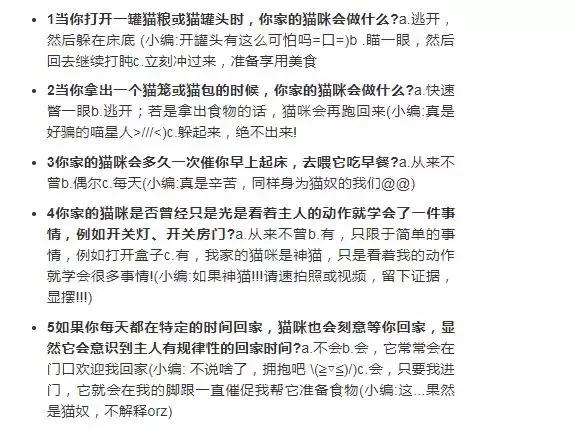 猫咪有个超有情商的铲屎官,猫咪智商测试果然豆丁智商最高
