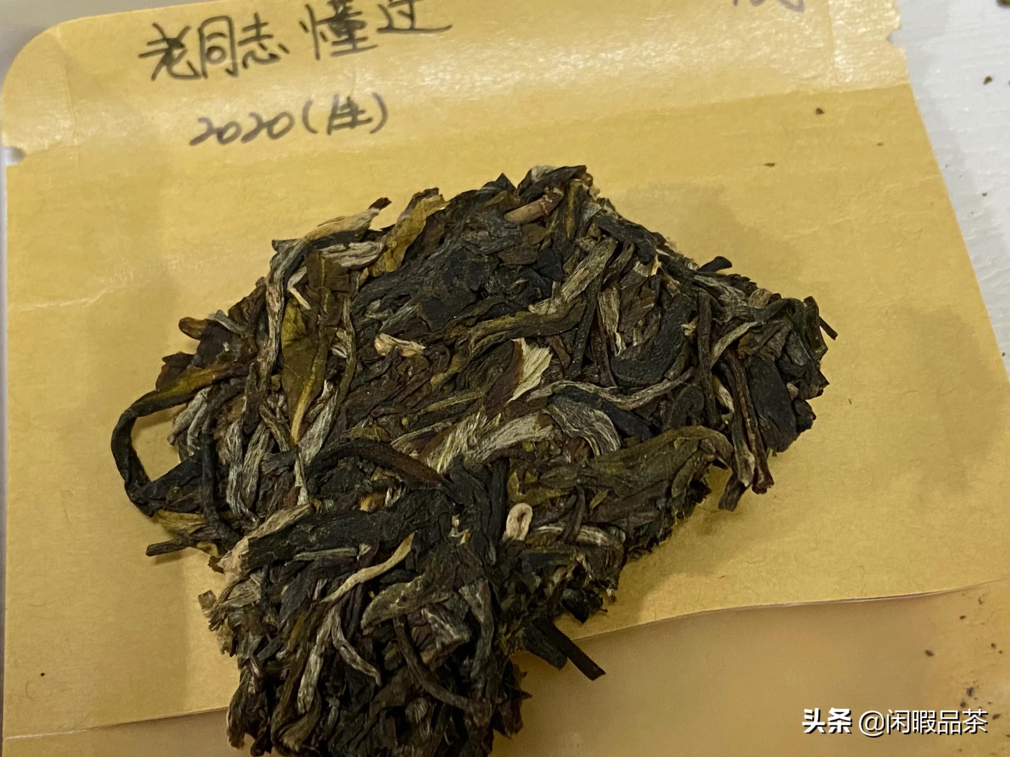 [闲暇品茶]第21-04期2020老同志懂过生普（中山起湾）